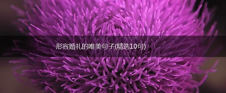 形容婚礼的唯美句子(精选10句),第1张