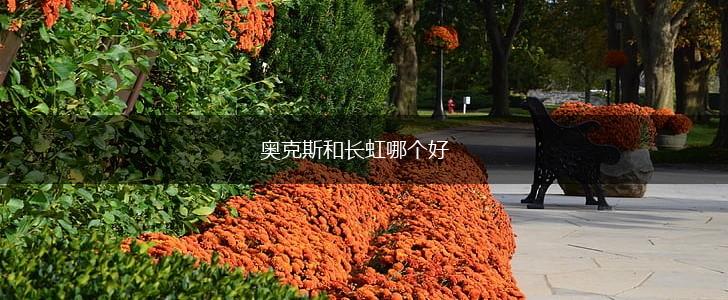 奥克斯和长虹哪个好,第1张