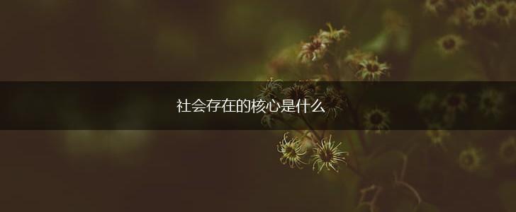 社会存在的核心是什么,第1张