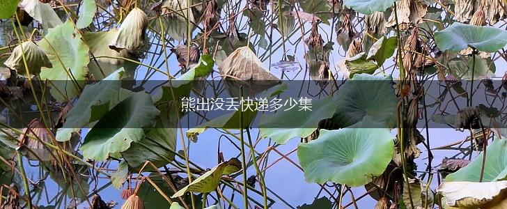熊出没丢快递多少集,第1张