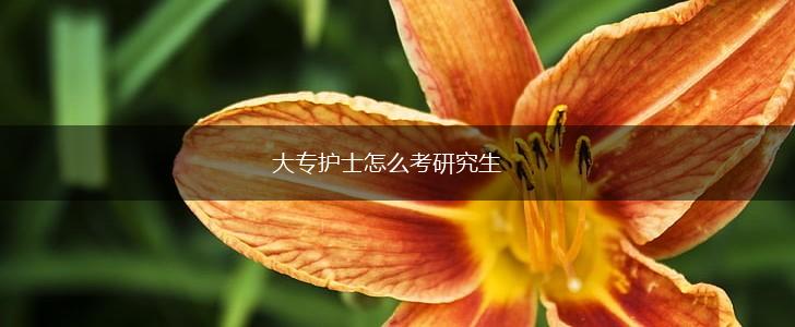 大专护士怎么考研究生,第1张