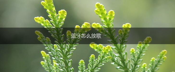 蓝牙怎么放歌,第1张