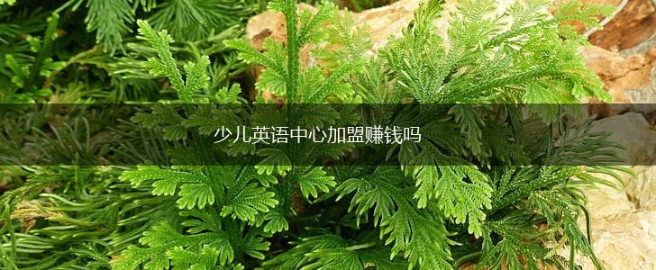 少儿英语中心加盟赚钱吗,第1张