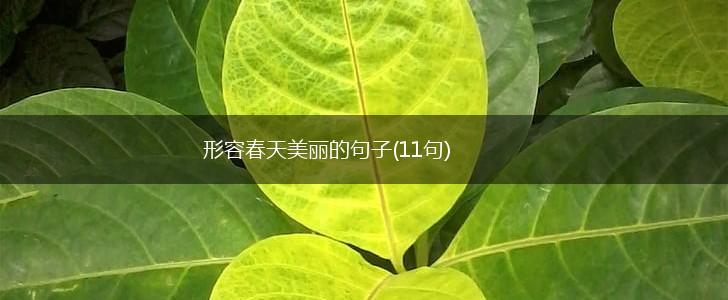 形容春天美丽的句子(11句),第1张
