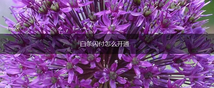 白条闪付怎么开通,第1张