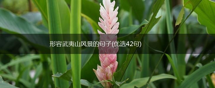 形容武夷山风景的句子(优选42句),第1张