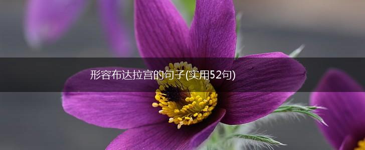 形容布达拉宫的句子(实用52句),第1张