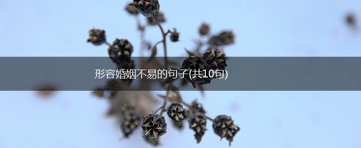 形容婚姻不易的句子(共10句),第1张