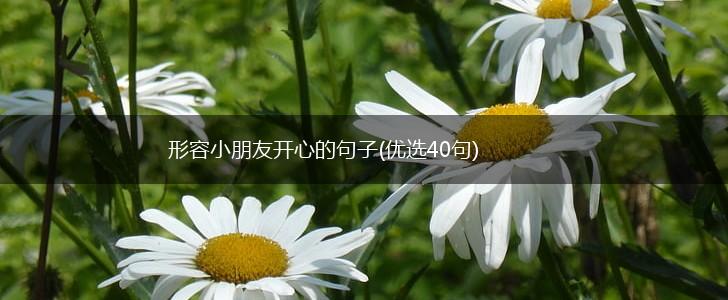 形容小朋友开心的句子(优选40句),第1张