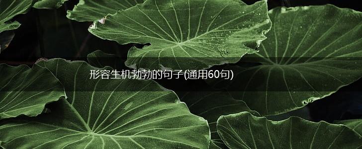 形容生机勃勃的句子(通用60句),第1张