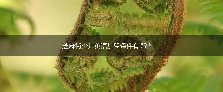 芝麻街少儿英语加盟条件有哪些,第1张