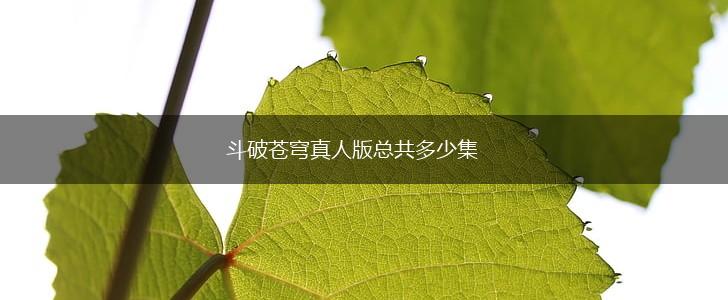 斗破苍穹真人版总共多少集,第1张