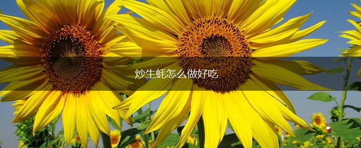 炒生蚝怎么做好吃,第1张