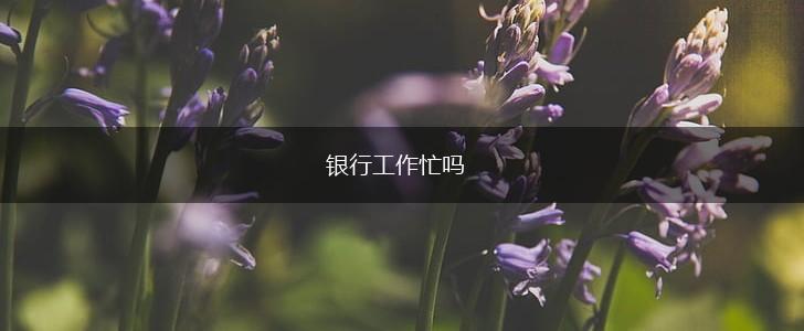 银行工作忙吗,第1张