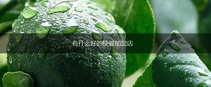 有什么好的快餐加盟店,第1张