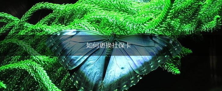 如何更换社保卡,第1张