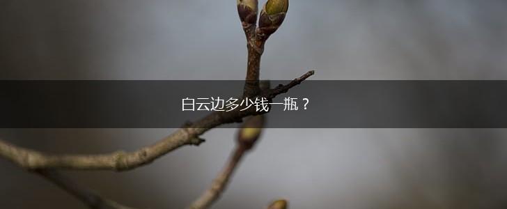 白云边多少钱一瓶？,第1张