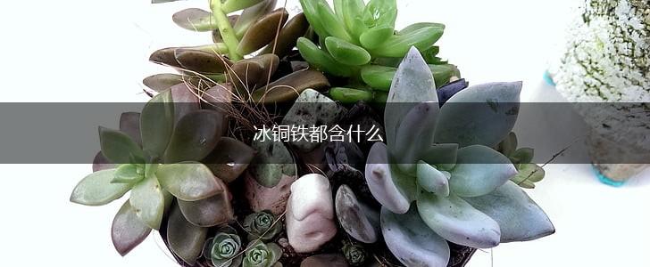 冰铜铁都含什么,第1张