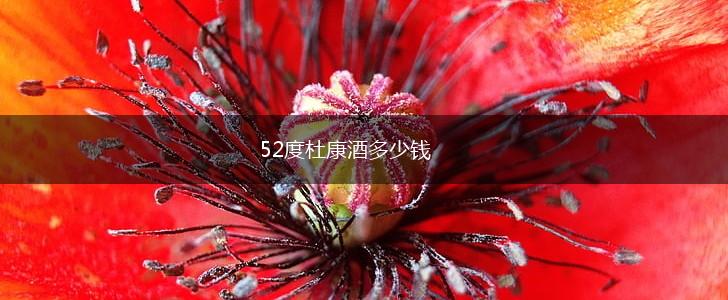 52度杜康酒多少钱,第1张