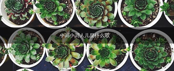 小河小河人儿是什么歌,第1张