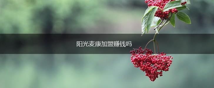 阳光麦康加盟赚钱吗,第1张