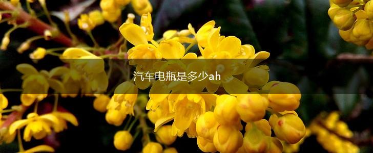 汽车电瓶是多少ah,第1张