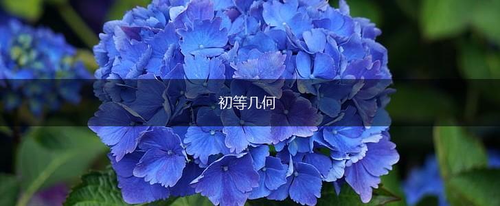 初等几何,第1张