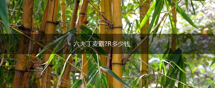 六夫丁麦霸?R多少钱,第1张