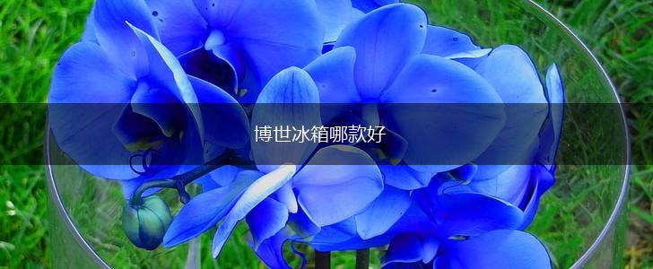 博世冰箱哪款好,第1张