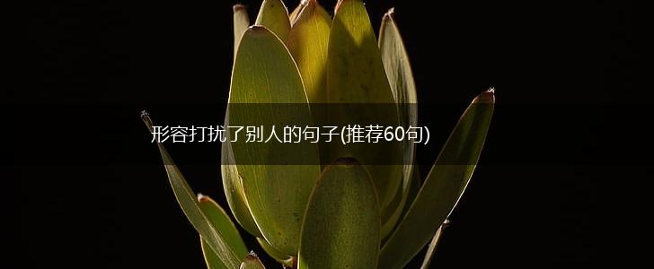 形容打扰了别人的句子(推荐60句),第1张