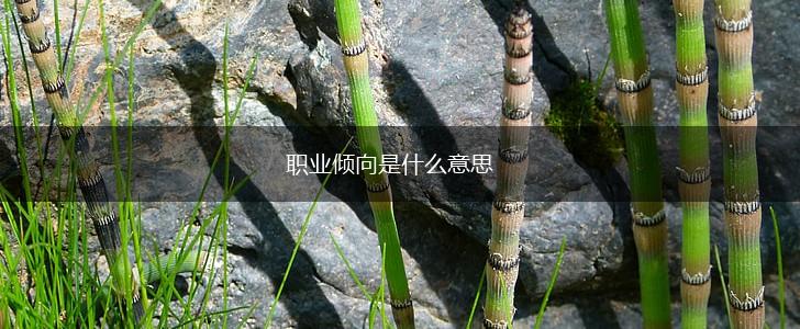 职业倾向是什么意思,第1张