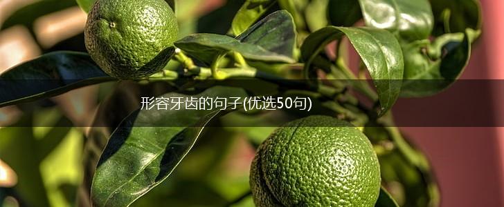 形容牙齿的句子(优选50句),第1张