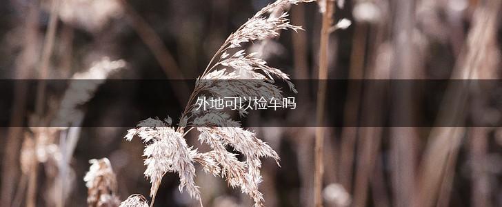 外地可以检车吗,第1张