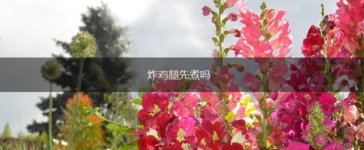 炸鸡腿先煮吗,第1张