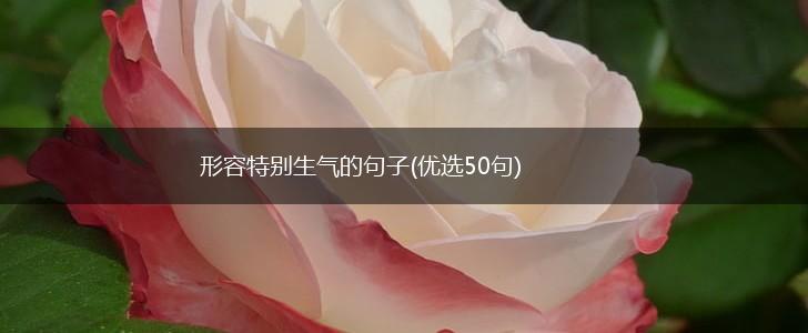 形容特别生气的句子(优选50句),第1张