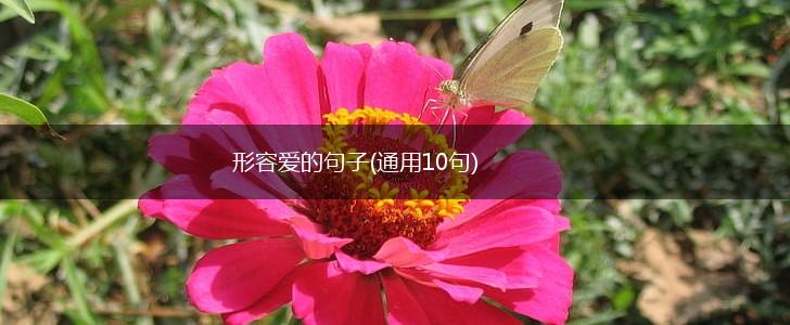 形容爱的句子(通用10句),第1张
