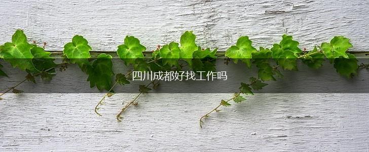 四川成都好找工作吗,第1张