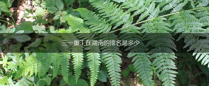 三一重工在湖南的排名是多少,第1张