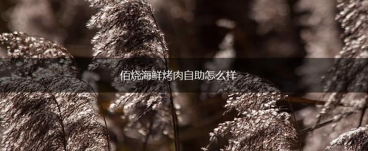 佰烧海鲜烤肉自助怎么样,第1张