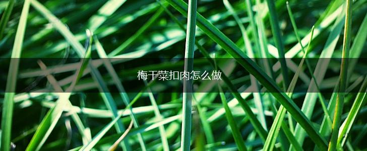 梅干菜扣肉怎么做,第1张