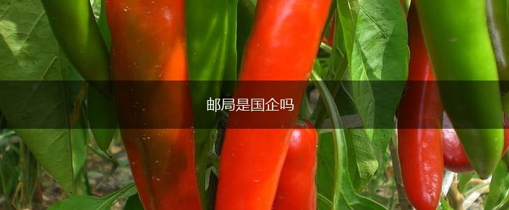 邮局是国企吗,第1张