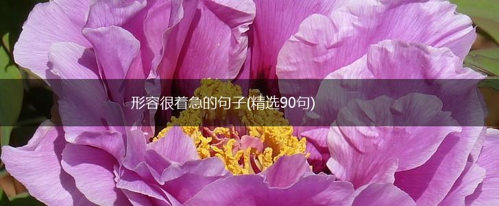 形容很着急的句子(精选90句),第1张
