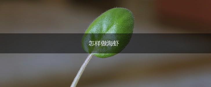 怎样做海虾,第1张