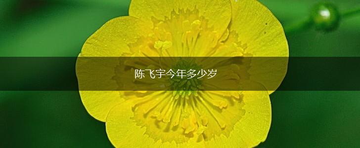 陈飞宇今年多少岁,第1张