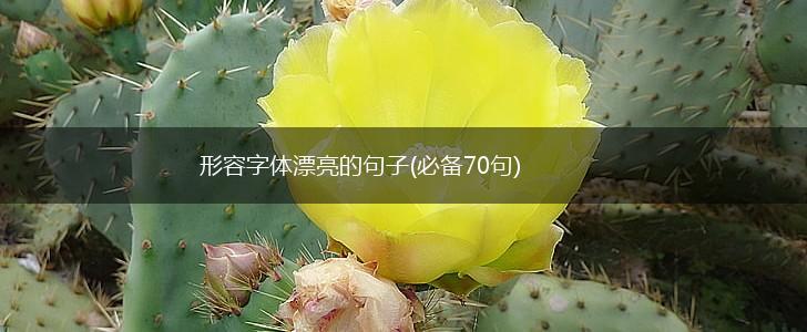 形容字体漂亮的句子(必备70句),第1张