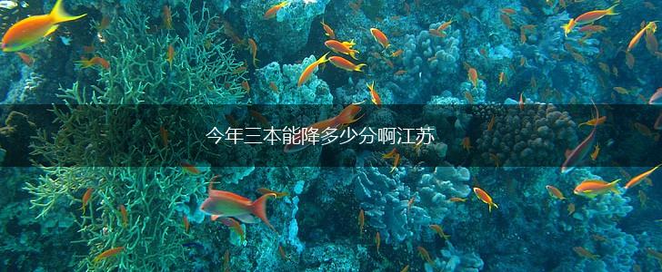 今年三本能降多少分啊江苏,第1张