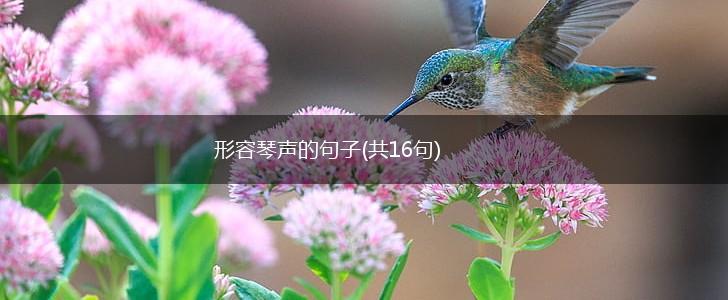 形容琴声的句子(共16句),第1张