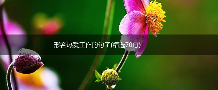 形容热爱工作的句子(精选70句),第1张