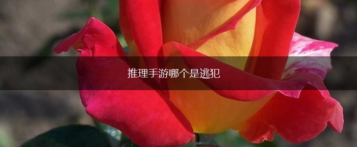 推理手游哪个是逃犯,第1张