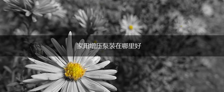 家用增压泵装在哪里好,第1张